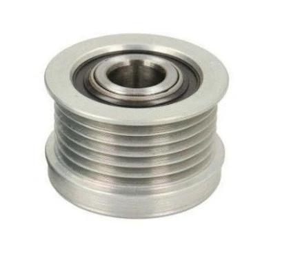 Alternator Freewheel Clutch (12191731)