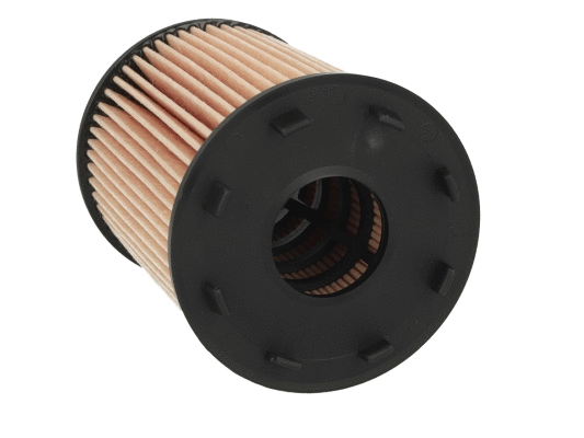 Oil Filter (12138316)