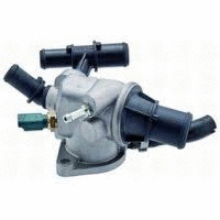 Thermostat, coolant (12165263)