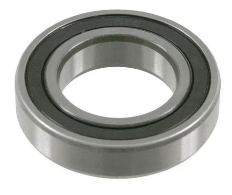 Bearing, drive shaft (12191665)