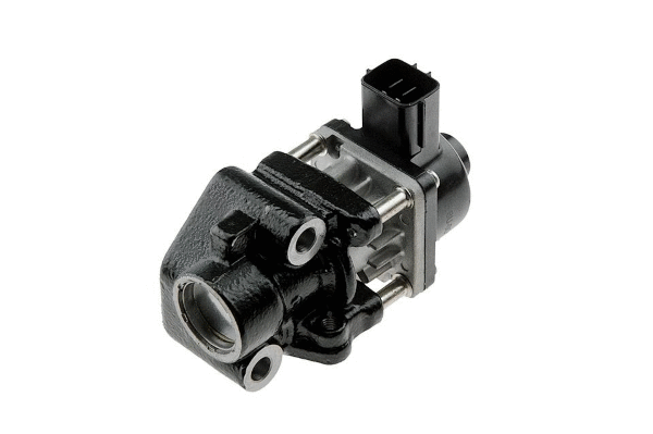 EGR Valve (12172102)