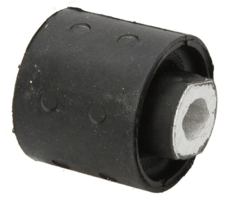 Bushing, axle beam (12162409)