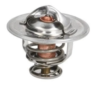 Thermostat, coolant (12191808)