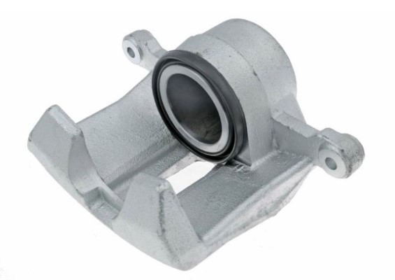 Brake Caliper (12209012)