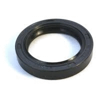 Shaft Seal, crankshaft (12165193)