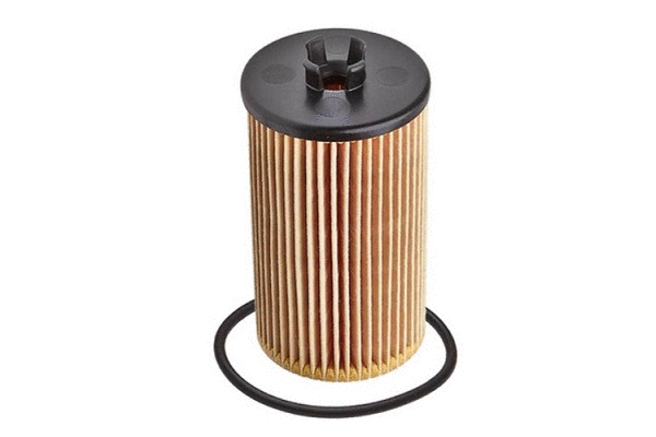 Oil Filter (12135347)
