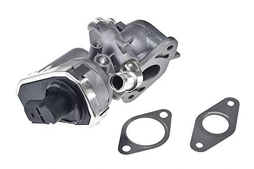 EGR Valve (12119896)