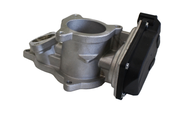 EGR Valve (12106386)