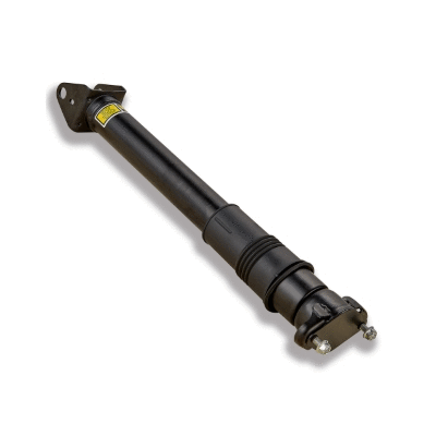 Air Suspension Strut (12127038)