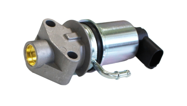 EGR Valve (12106373)