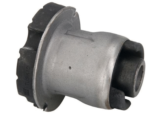 Bushing, axle beam (12162556)