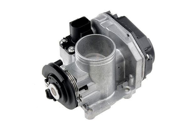 Throttle Body (12161390)