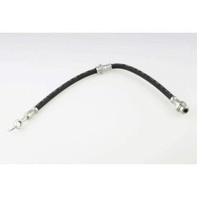 Brake Hose (12162174)