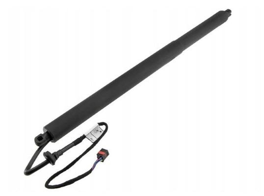 Gas Spring, boot/cargo area (12208925)