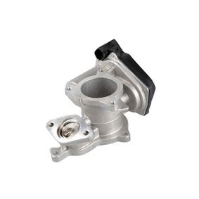 EGR Valve (12166019)