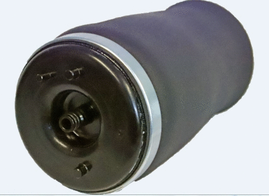 Air Spring, suspension (12117119)