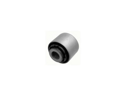 Bushing, axle beam (12162346)