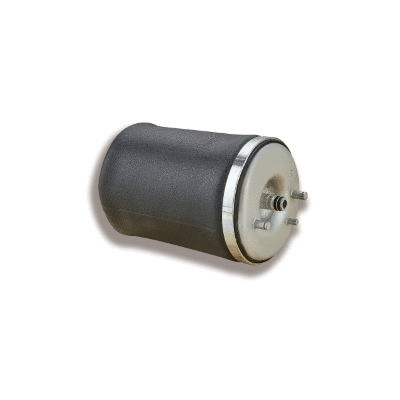 Air Spring, suspension (12127032)