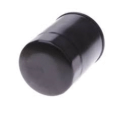 Oil Filter (12138342)