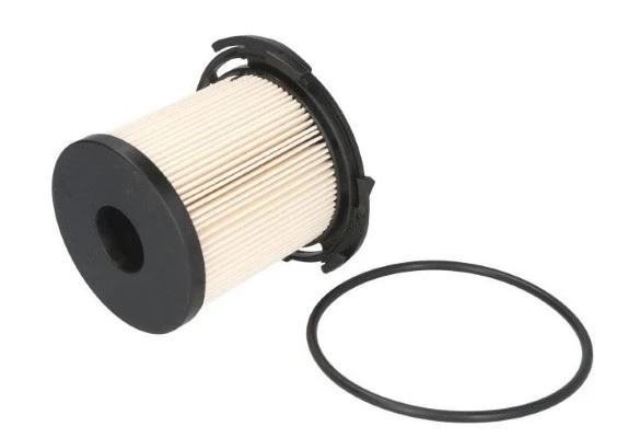Fuel Filter (12192213)