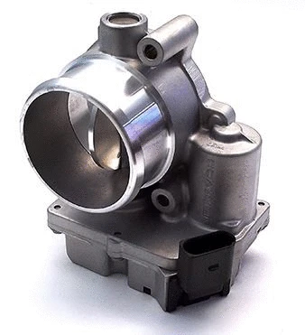 Throttle Body (12191851)