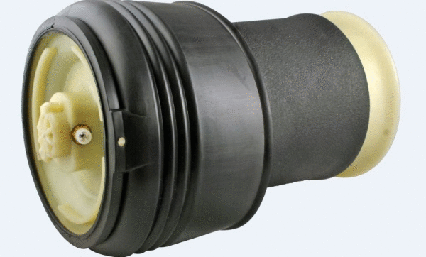 Air Spring, suspension (12117112)