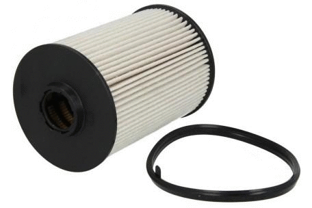 Fuel Filter (12138408)