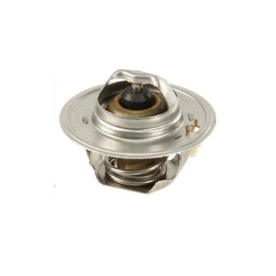 Thermostat, coolant (12166275)