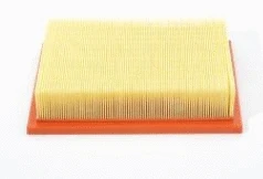 Air Filter (12111807)