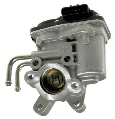 EGR Valve (12194903)