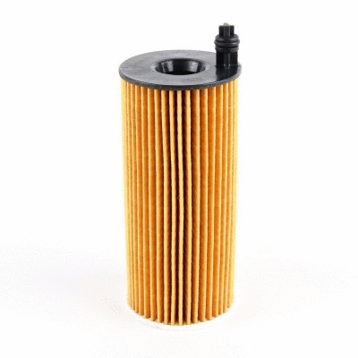 Oil Filter (12138250)