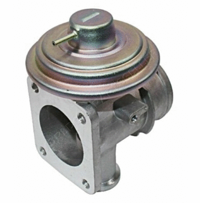 EGR Valve (12171417)