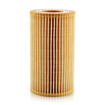 Oil Filter (12138346)