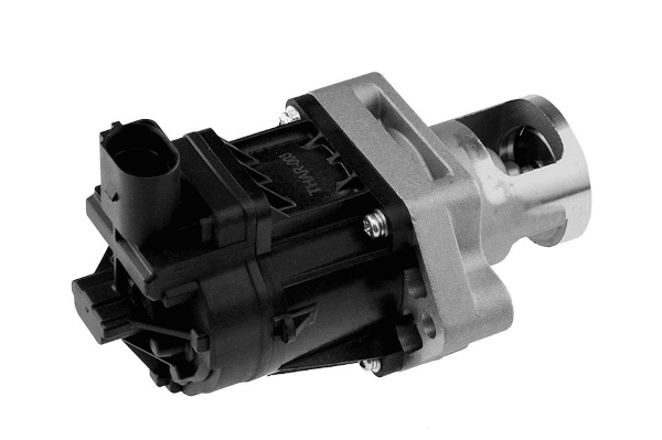 EGR Valve (12173509)