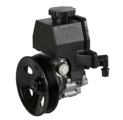 Hydraulic Pump, steering (12178348)