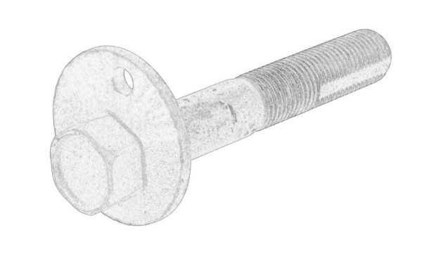 Camber Correction Screw (12221338)