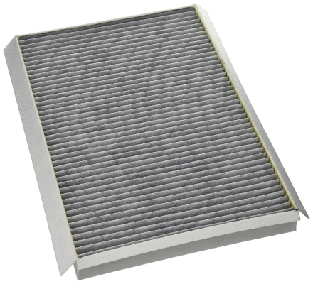 Filter, cabin air (12138348)