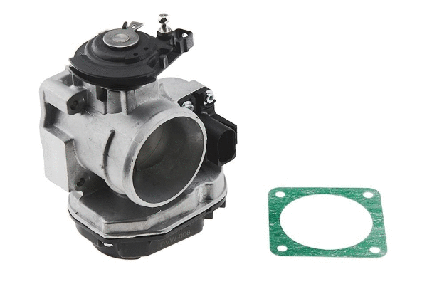 Throttle Body (12161389)
