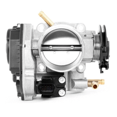 Throttle Body (12115217)