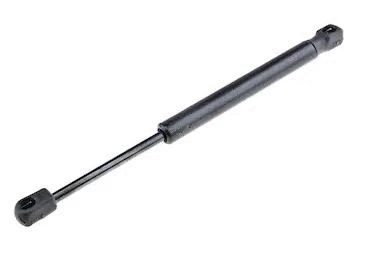 Gas Spring, boot/cargo area (12191528)