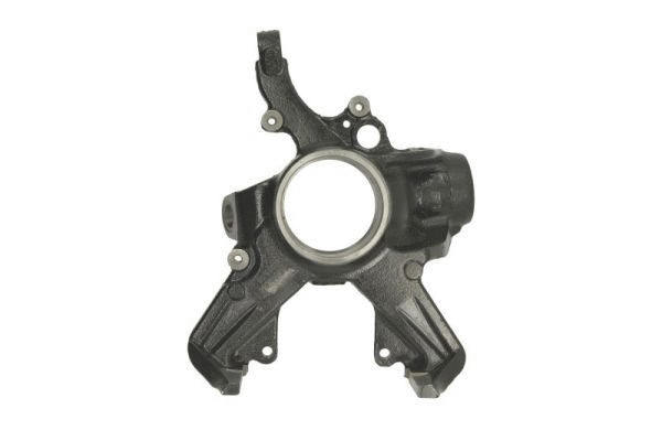 Steering Knuckle, wheel suspension (12166199)