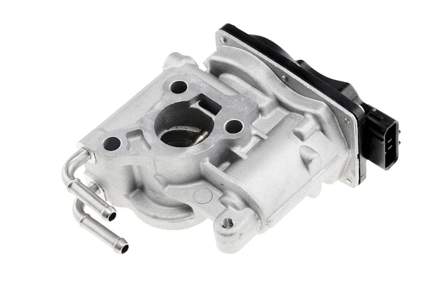 EGR Valve (12164250)