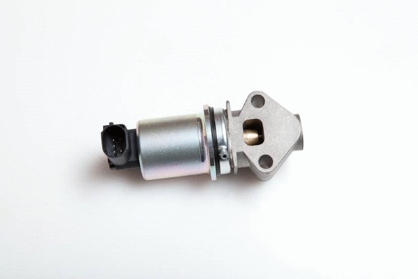 EGR Valve (12115635)