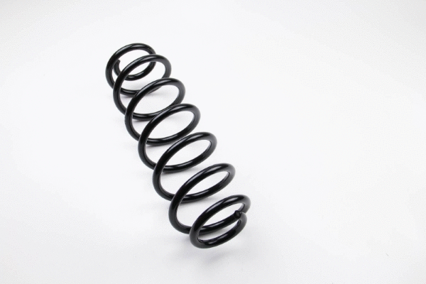 Suspension Spring (12108713)