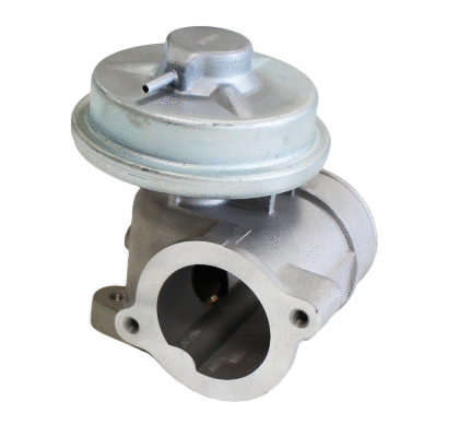 EGR Valve (12106383)
