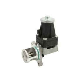EGR Valve (12171399)