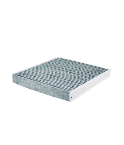 Filter, cabin air (12138281)