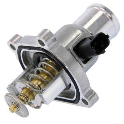 Thermostat, coolant (12115652)