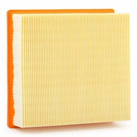 Air Filter (12138450)