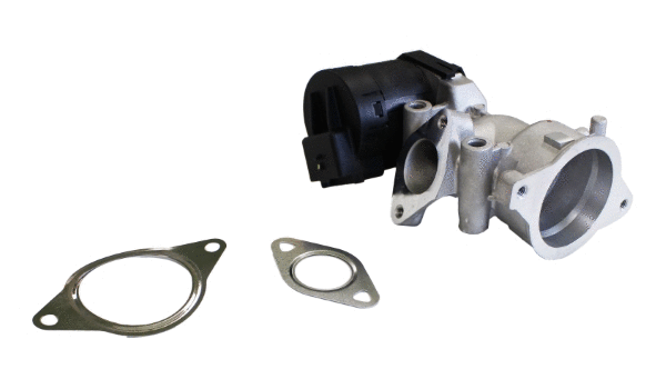 EGR Valve (12106385)